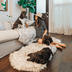 PupRug® Runner Faux Fur Memory Foam Dog Bed - Curve White with Brown Accents