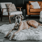 PupRug® Animal Print Memory Foam Dog Bed - Polar Bear Faux Hide