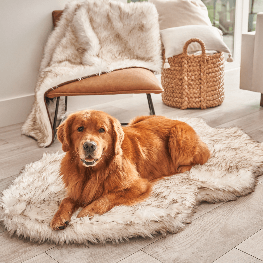 PupRug by Paw.com® Faux Fur Orthopedic Dog Bed - Curve White with Brown Accents