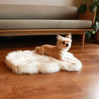 PupRug by Paw.com® Faux Fur Orthopedic Dog Bed - Curve White with Brown Accents