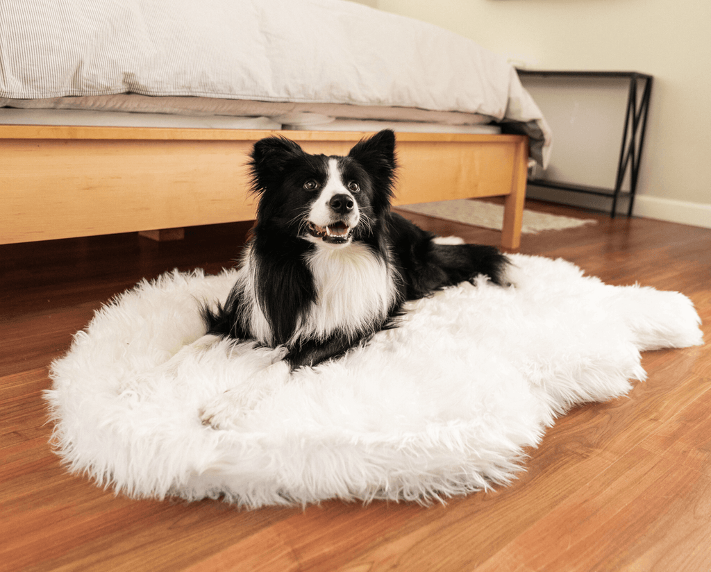 PupRug by Paw.com® Faux Fur Orthopedic Dog Bed - Curve Polar White