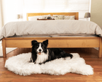 PupRug by Paw.com® Faux Fur Orthopedic Dog Bed - Curve Polar White