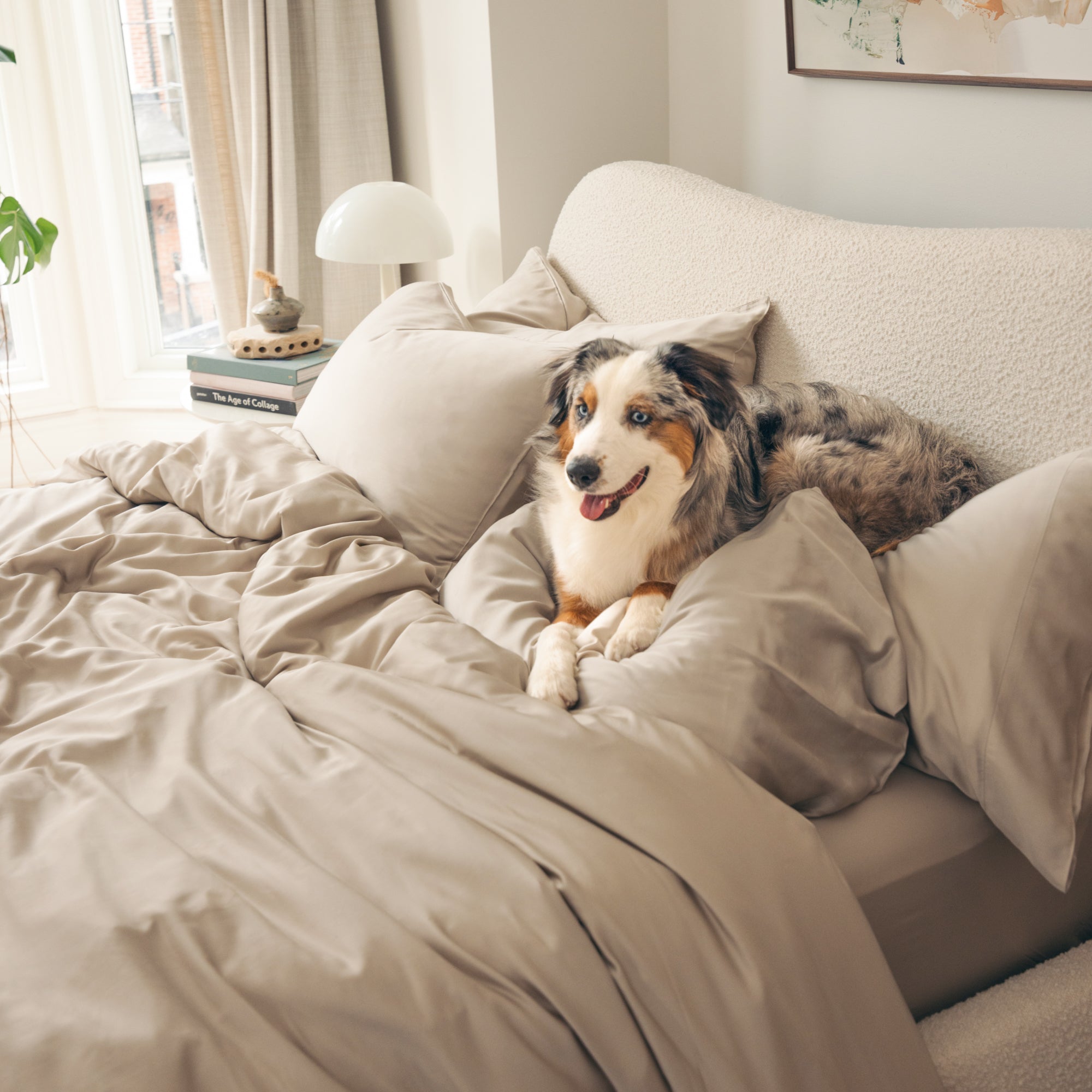 Organic Bamboo Sateen Pillowcase Set