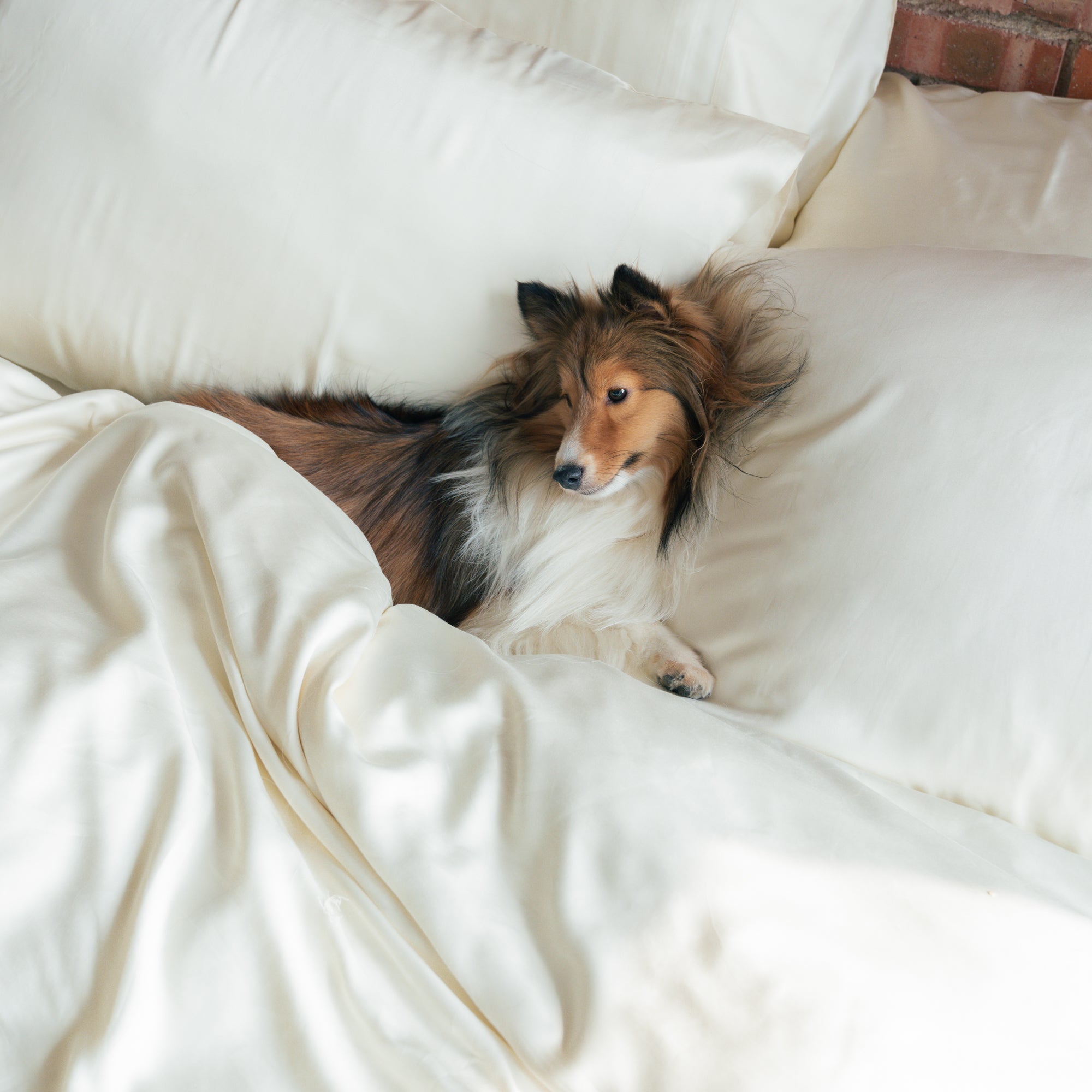 Organic Bamboo Sateen Duvet Cover Set