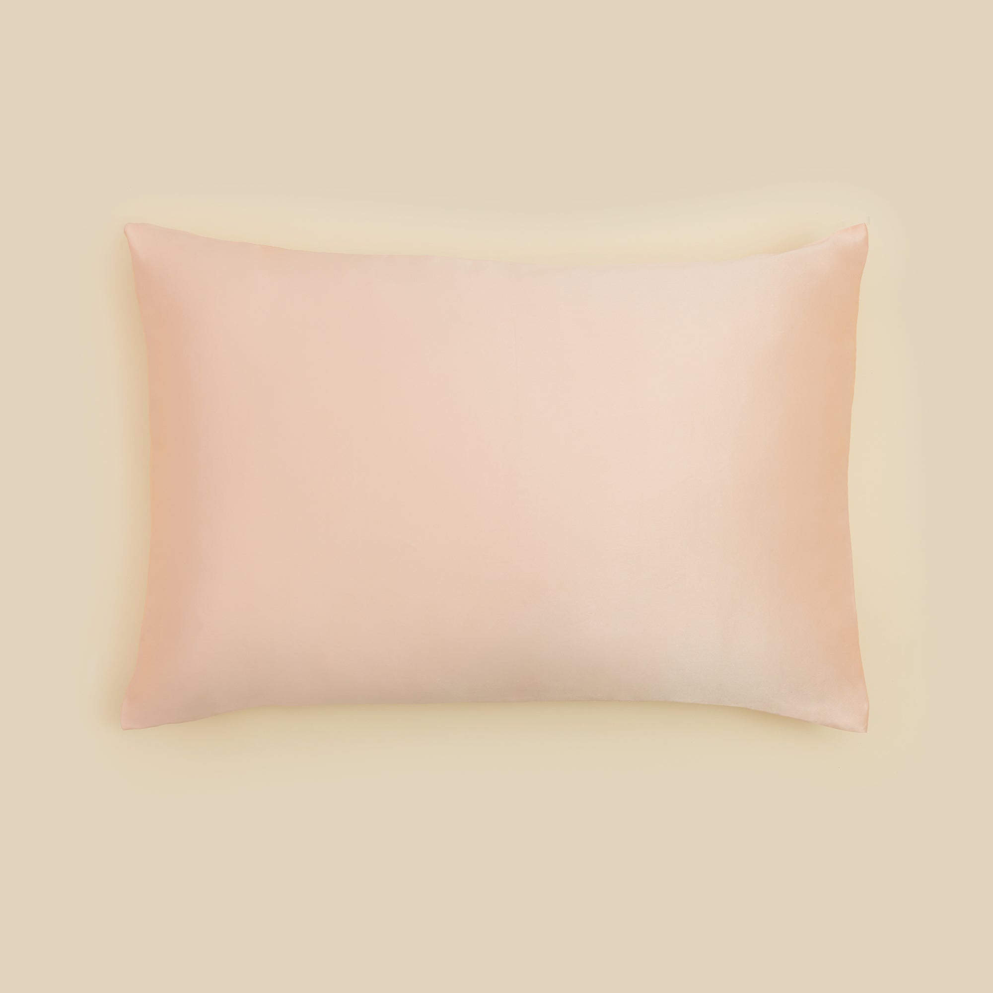 Mulberry Silk Pillowcase